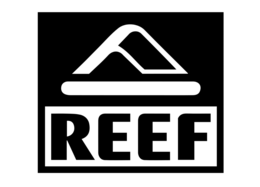Reef
