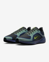 Nike Pegasus 41 GORE-TEX Heren - FQ1356-006