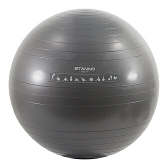 Stanno Exercise Ball 65cm.