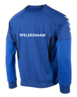 HV Nijenrodes Sweater Ronde Hals Senior