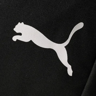 Puma TeamFINAL Teambag Medium