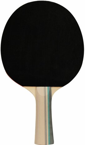 Tafeltennis Bat 2 Stars