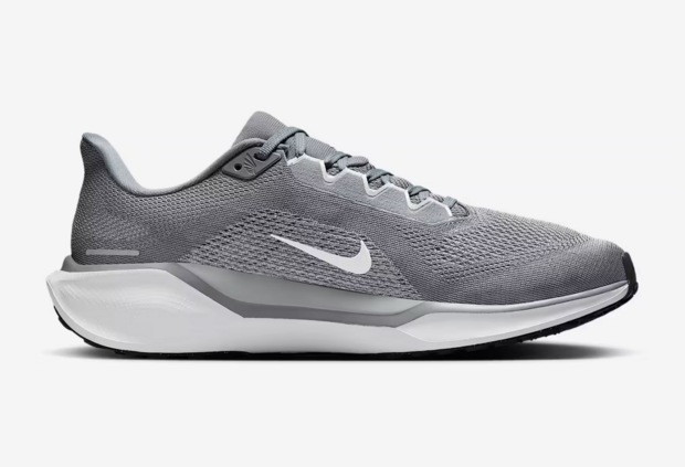 NIKE Air Zoom Pegasus 41 MEN'S - FD2722-009