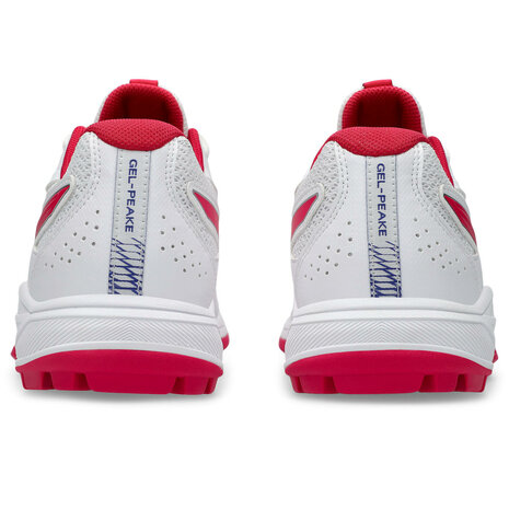 ASICS GEL-PEAKE 3 Hockeyschoen voor kinderen - 1114A026-102
