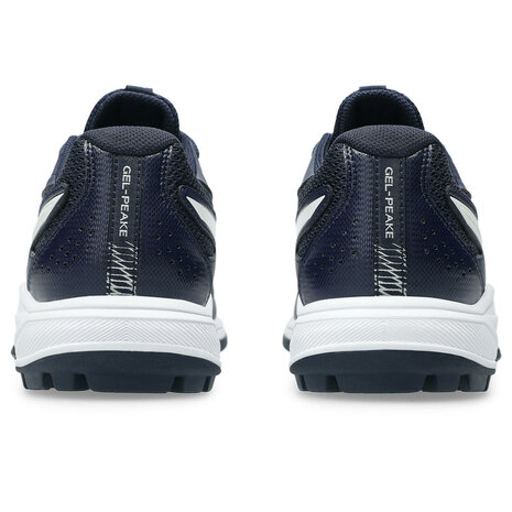 ASICS GEL-PEAKE 3 Hockeyschoen voor kinderen - 1114A026-400