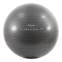 Stanno Exercise Ball 65cm.