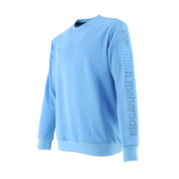 Indian Maharadja Mumbai Kids Sweater Licht Blauw